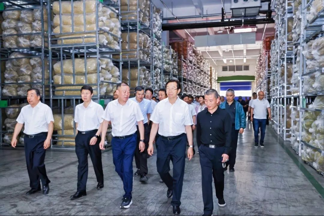 yOBpNfmrpE.jpg yOBpNfmrpE.jpg